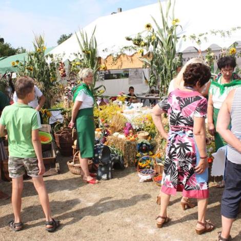 Zdjęcie z galerii Dożynki Grylewo 2015