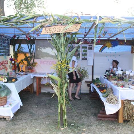 Zdjęcie z galerii Dożynki Grylewo 2015