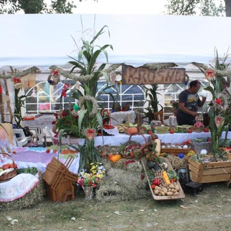 Zdjęcie z galerii Dożynki Grylewo 2015