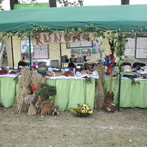 Zdjęcie z galerii Dożynki Grylewo 2015