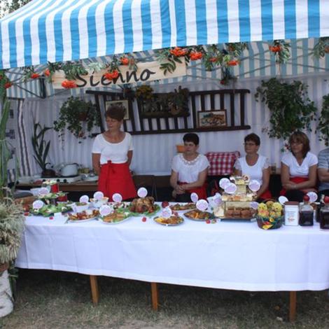 Zdjęcie z galerii Dożynki Grylewo 2015