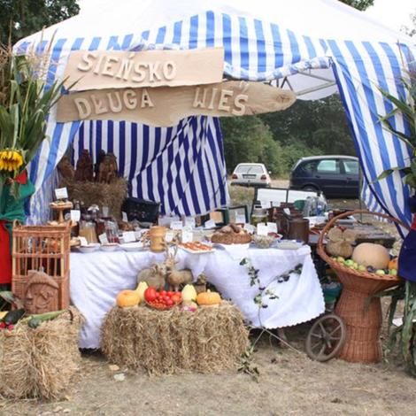 Zdjęcie z galerii Dożynki Grylewo 2015