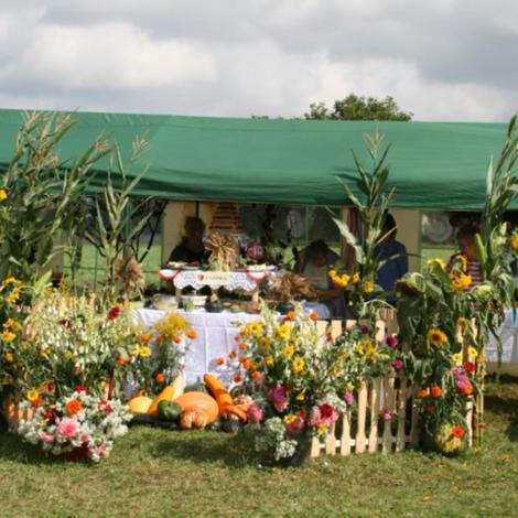 Zdjęcie z galerii Dożynnki 2011 - Łaziska
