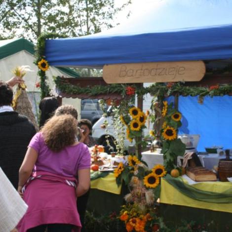 Zdjęcie z galerii Dożynnki 2011 - Łaziska