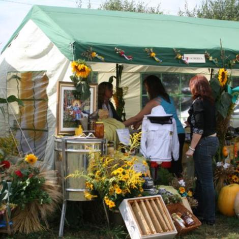 Zdjęcie z galerii Dożynnki 2011 - Łaziska