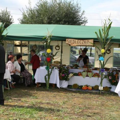 Zdjęcie z galerii Dożynnki 2011 - Łaziska