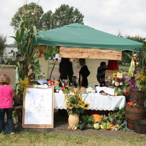 Zdjęcie z galerii Dożynnki 2011 - Łaziska