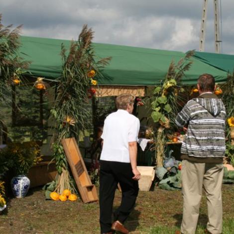 Zdjęcie z galerii Dożynnki 2011 - Łaziska
