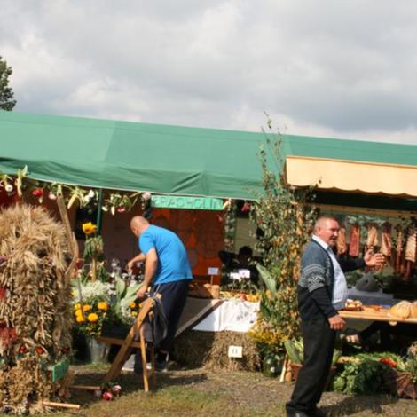 Zdjęcie z galerii Dożynnki 2011 - Łaziska