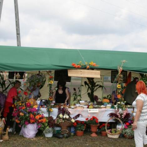 Zdjęcie z galerii Dożynnki 2011 - Łaziska