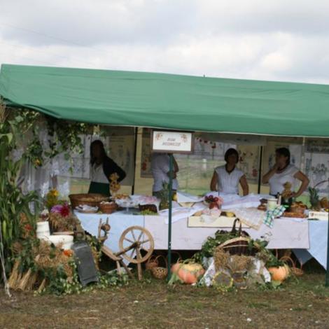 Zdjęcie z galerii Dożynnki 2011 - Łaziska