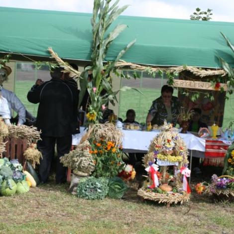Zdjęcie z galerii Dożynnki 2011 - Łaziska