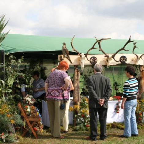 Zdjęcie z galerii Dożynnki 2011 - Łaziska