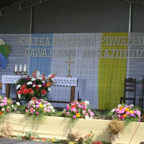 Zdjęcie z galerii Dożynnki 2011 - Łaziska