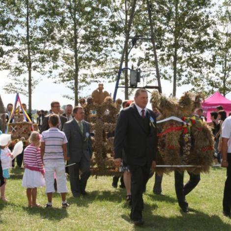Zdjęcie z galerii Dożynnki 2011 - Łaziska