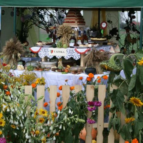 Zdjęcie z galerii Dożynnki 2011 - Łaziska