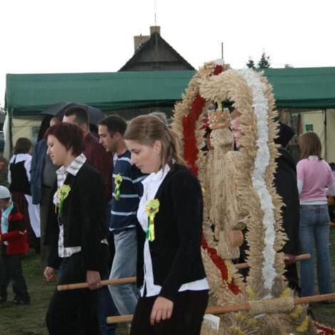 Zdjęcie z galerii Dożynki Łęgowo 2010