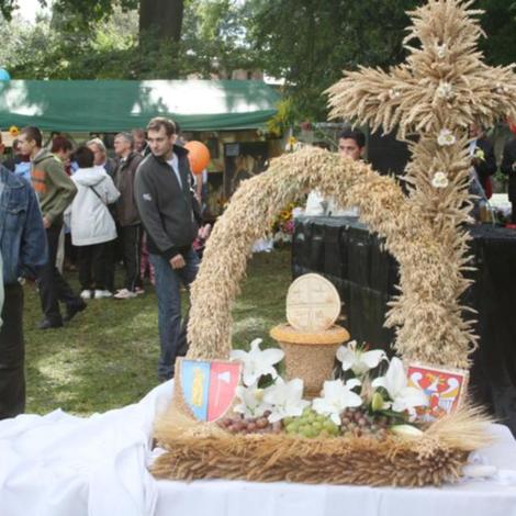 Zdjęcie z galerii Dożynki Łęgowo 2010