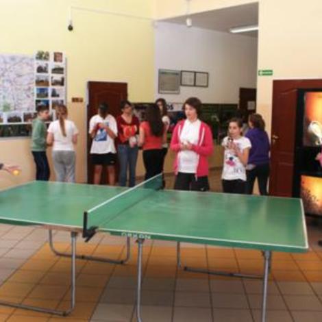 Zdjęcie z galerii Tenis Stołowy - Rąbczyn 2013