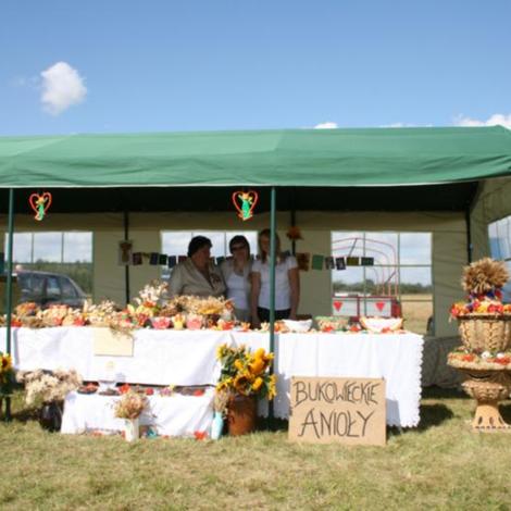 Zdjęcie z galerii Dożynki Rąbczyn 2009