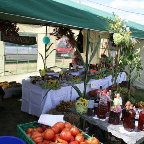 Zdjęcie z galerii Dożynki Rąbczyn 2009