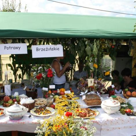 Zdjęcie z galerii Dożynki Rąbczyn 2009