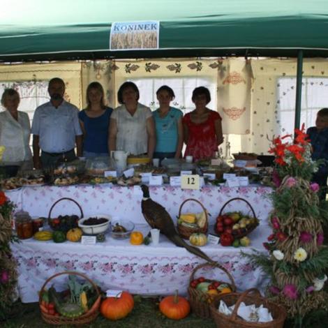 Zdjęcie z galerii Dożynki Rąbczyn 2009