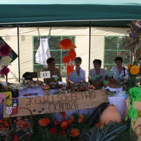 Zdjęcie z galerii Dożynki Rąbczyn 2009