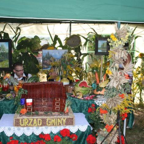Zdjęcie z galerii Dożynki Rąbczyn 2009
