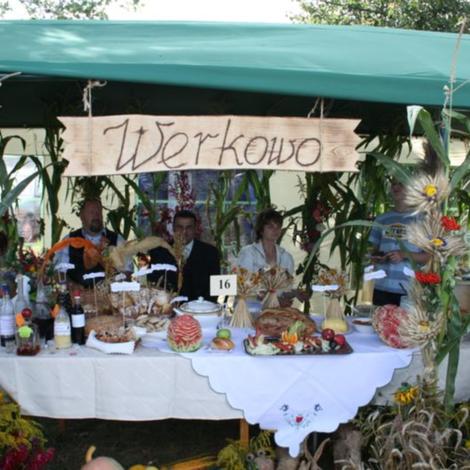 Zdjęcie z galerii Dożynki Rąbczyn 2009