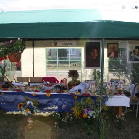 Zdjęcie z galerii Dożynki Rąbczyn 2009
