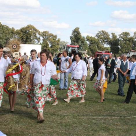 Zdjęcie z galerii Dożynki Rąbczyn 2009