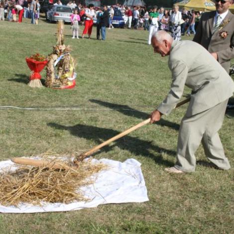Zdjęcie z galerii Dożynki Rąbczyn 2009