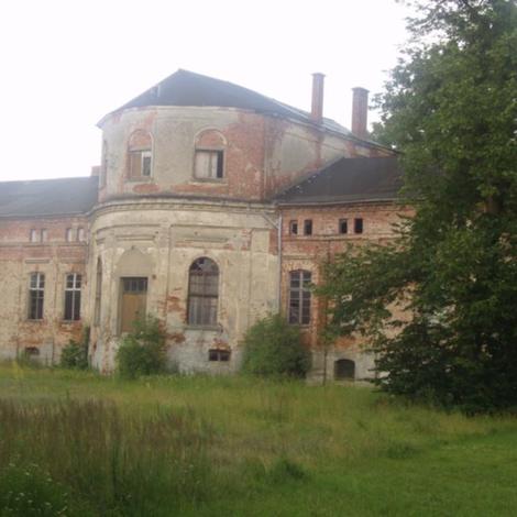 Zdjęcie z galerii Półkolonie - Kino, Basen