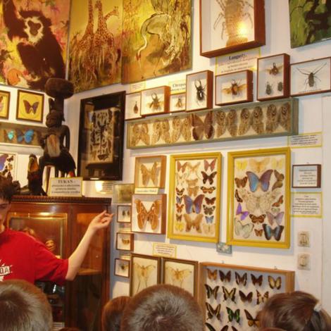 Zdjęcie z galerii w Muzeum w Puszczykowie