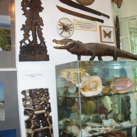 Zdjęcie z galerii w Muzeum w Puszczykowie