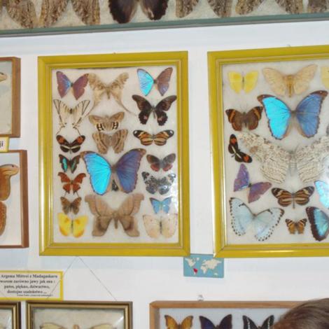 Zdjęcie z galerii w Muzeum w Puszczykowie