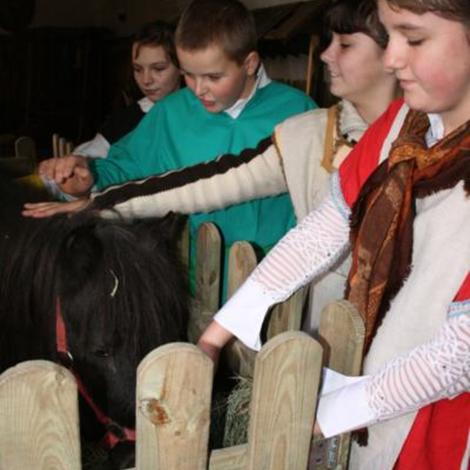 Zdjęcie z galerii Sztandar Sienno 2008