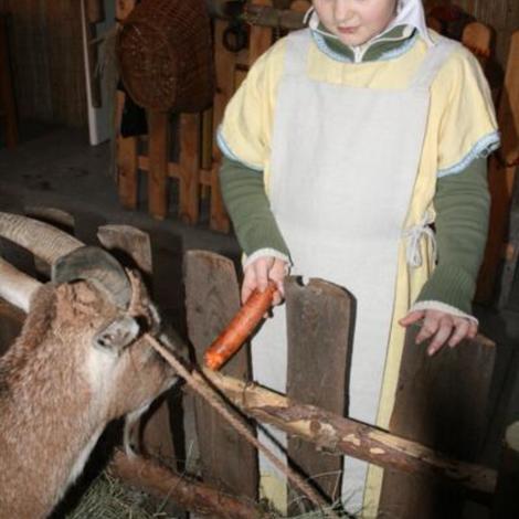 Zdjęcie z galerii Sztandar Sienno 2008