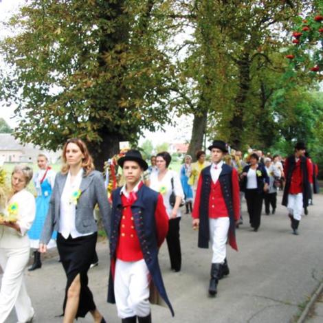 Zdjęcie z galerii Dożynki Pawłowo Żońskie 2008