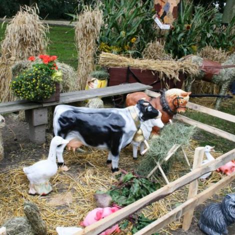 Zdjęcie z galerii Dożynki Pawłowo Żońskie 2008