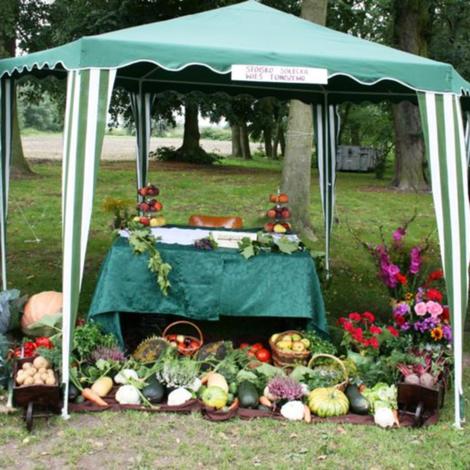 Zdjęcie z galerii Dożynki Pawłowo Żońskie 2008