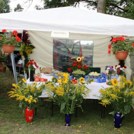 Zdjęcie z galerii Dożynki Pawłowo Żońskie 2008