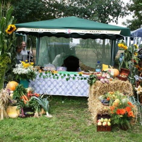 Zdjęcie z galerii Dożynki Pawłowo Żońskie 2008