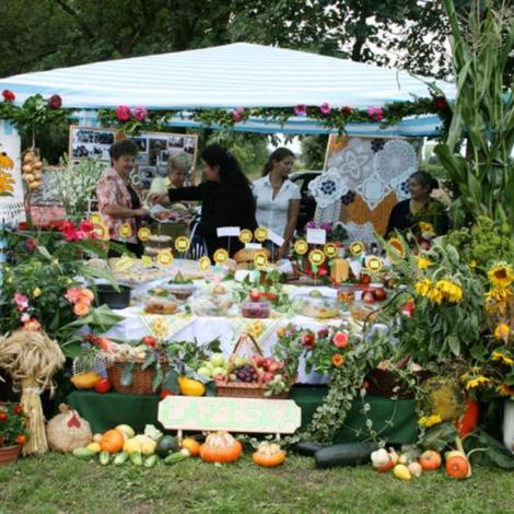 Zdjęcie z galerii Dożynki Pawłowo Żońskie 2008