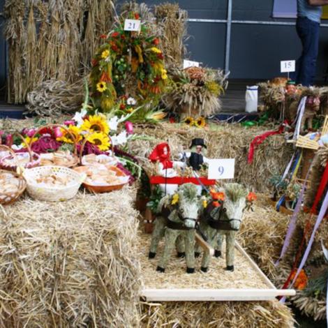 Zdjęcie z galerii Dożynki Pawłowo Żońskie 2008