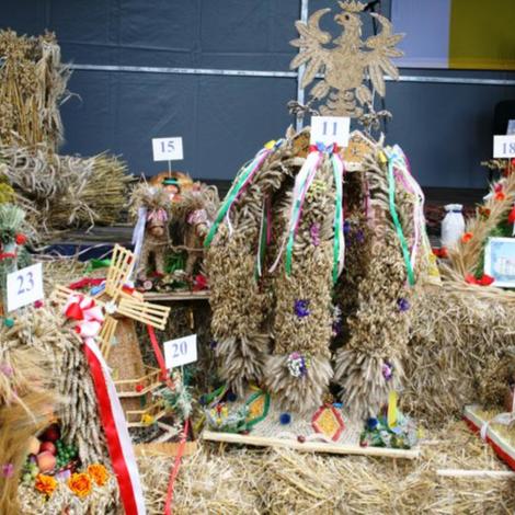 Zdjęcie z galerii Dożynki Pawłowo Żońskie 2008
