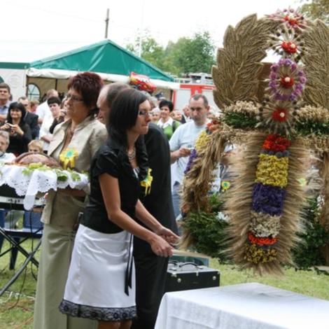 Zdjęcie z galerii Dożynki Pawłowo Żońskie 2008