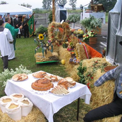 Zdjęcie z galerii Dożynki Rudnicze 2006