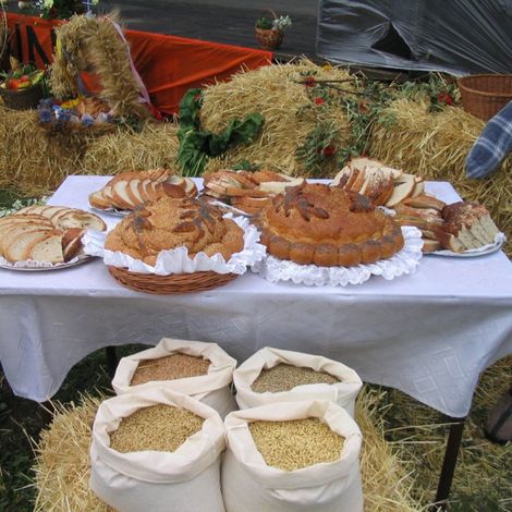 Zdjęcie z galerii Dożynki Rudnicze 2006